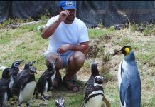 RECONOCEN A RICHARD TESORE EN REDES SOCIALES Y PROPONEN QUE SEA OFICIAL