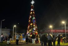 SE ENCENDIERON LAS LUCES DEL ARBOLITO EN LA ROTONDA DE PIRIAPOLIS