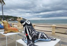 EXPONEN LOBITOS MARINOS EN LA RAMBLA DE PIRIÁPOLIS