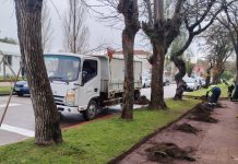 Piriápolis avanza con nuevas tareas de limpieza y mantenimiento en espacios públicos