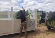 PUNTOS VERDES: DONDE ESTÁN UBICADOS Y PARA QUE SIRVEN?